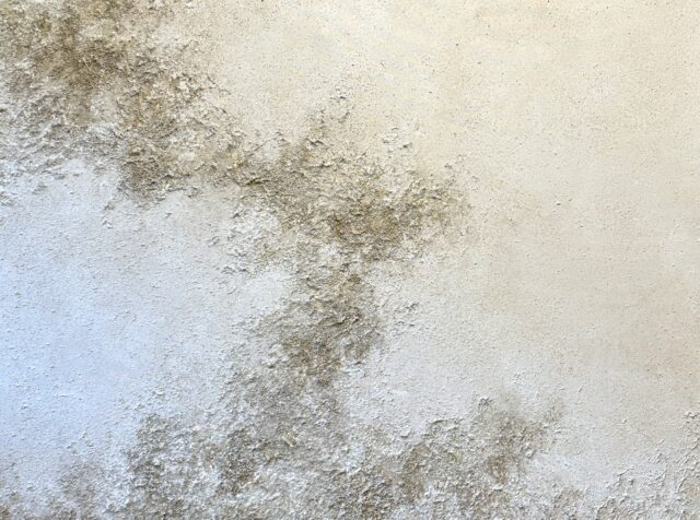 Obra de Tania Ciffer