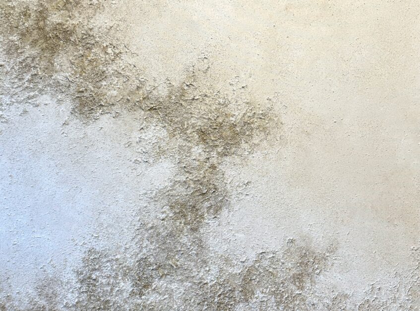 Obra de Tania Ciffer